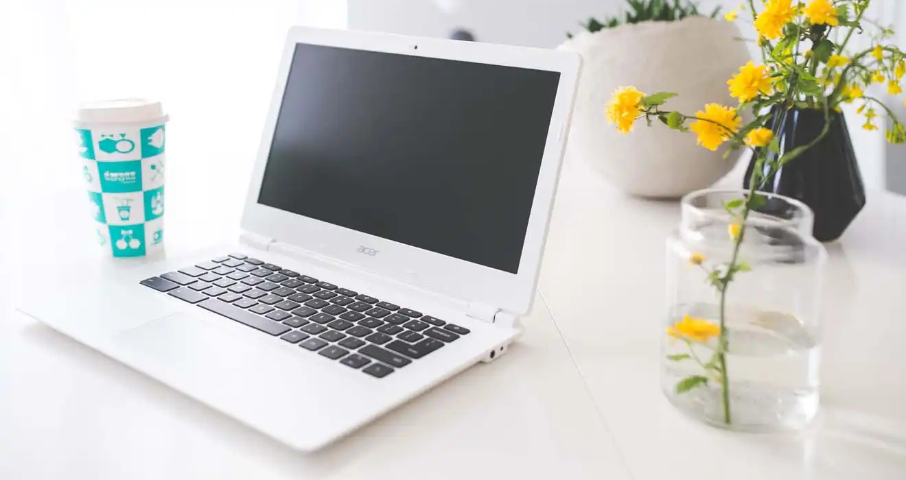 Ремонт ноутбуков Acer в Воскресенске